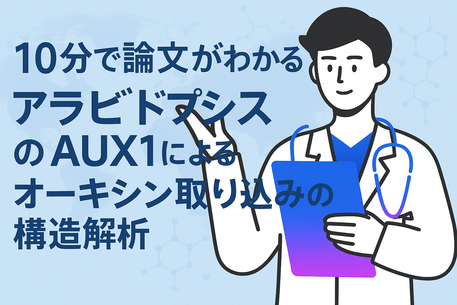 10分で論文がわかる!アラビドプシスのaux1によるオーキシン取り込みの構造解析