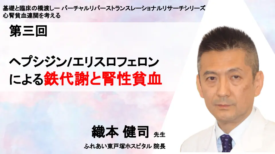 基礎と臨床の橋渡しーバーチャルリバーストランスレーショナルリサーチにむけて シリーズ心腎貧血連関を考える 第三回 ヘプシジン/エリスロフェロンによる鉄代謝と腎性貧血