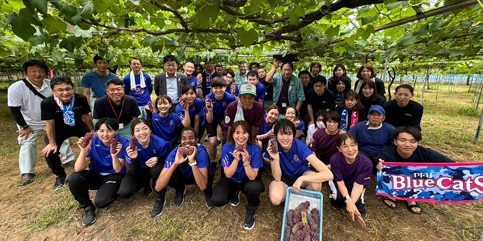 PFUブルーキャッツ石川かほく オフィシャルサイト