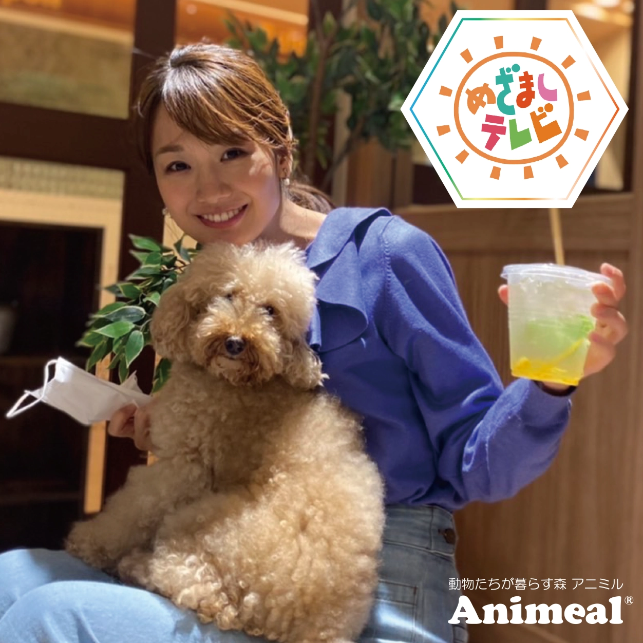 お知らせ｜【公式】動物たちが暮らす森 アニミル｜都市型ふれあい動物園