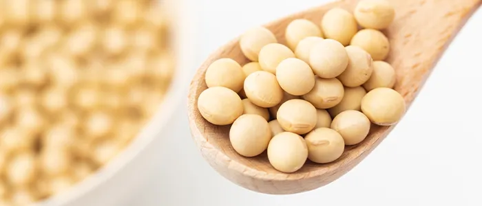 スプーンに掬われた大豆