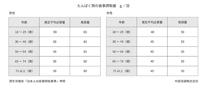 タンパク質の食事摂取量