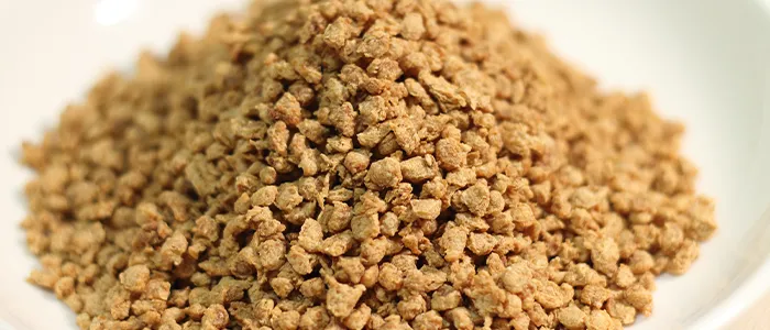 チップ状の代替肉