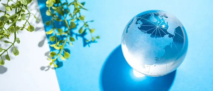 ガラスでできた地球儀と植物