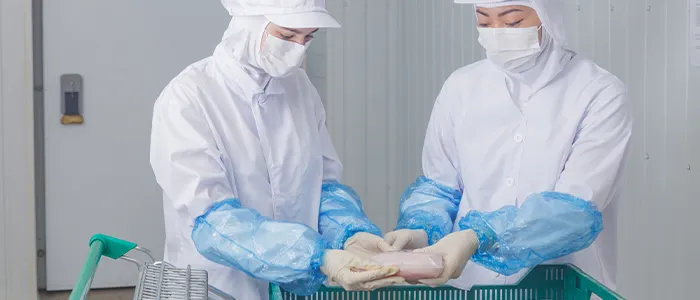 食品工場で作業をする人々