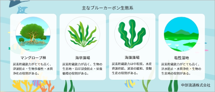 主なブルーカーボン生態系