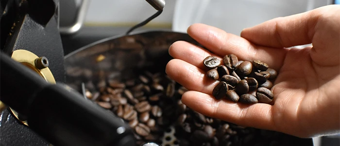 コーヒー豆を持つ手