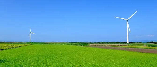 風力発電と一面の緑