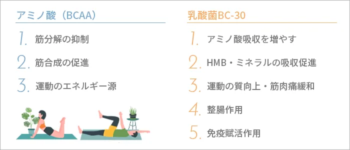 アミノ酸と乳酸菌の効果