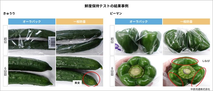 鮮度保持テストの結果事例