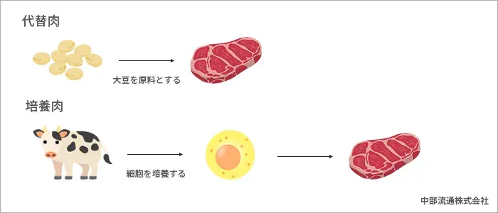 代替肉、培養肉の説明イラスト図