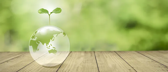 地球と緑のイメージ