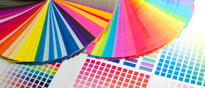 並べられたカラーチャート