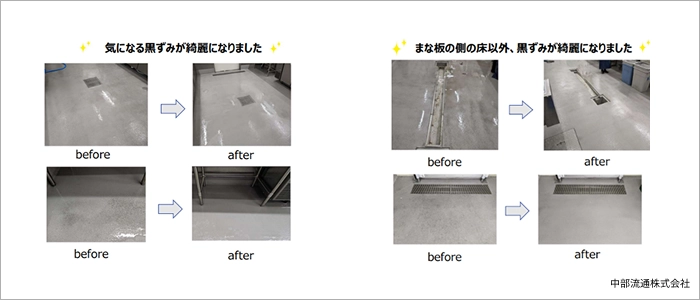 デモンストレーションの様子