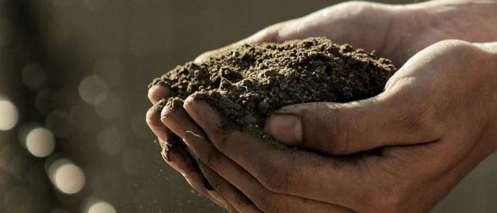 手に盛られた土