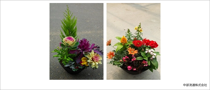 提案した季節ものの寄せ植え鉢