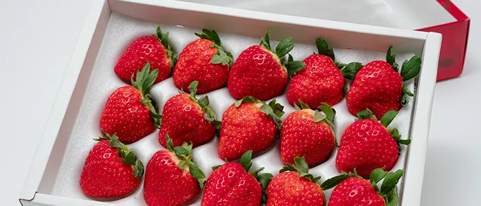 化粧箱に並べられた苺