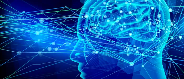 人間の脳とネットワーク
