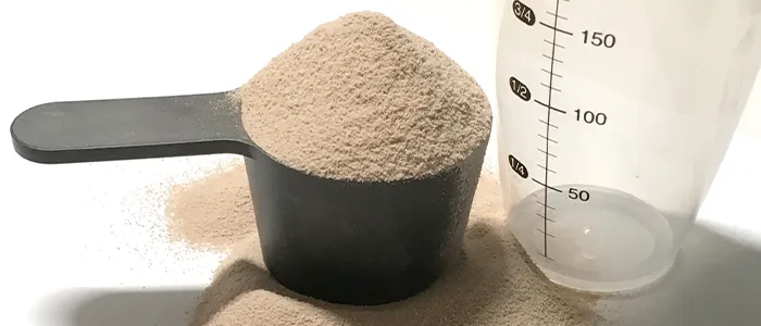 プロテイン粉末