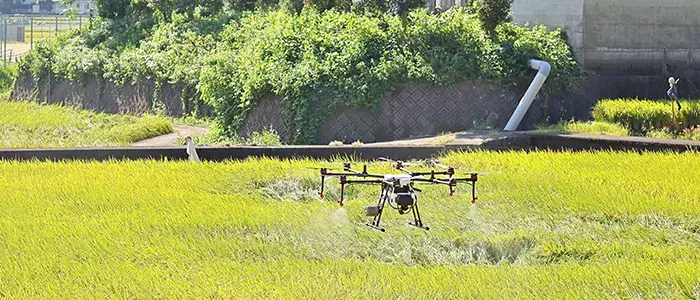 田んぼに農薬を散布するドローン