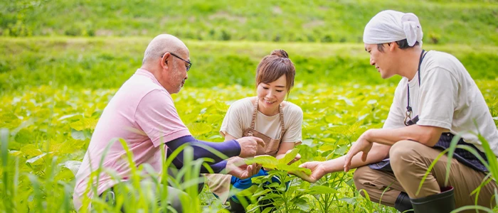 畑で野菜の様子を見る農家たち