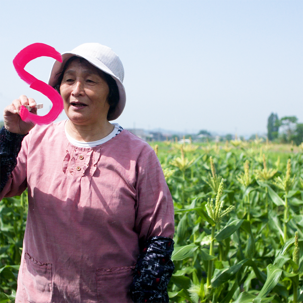 UMK テレビ宮崎様「UMKスーパーニュース番宣」TV-CM & オープニング