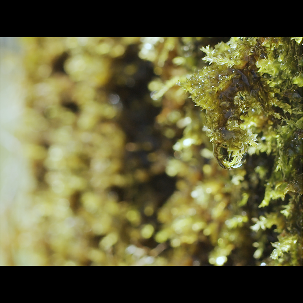 矢野興業様「大切にしたい今篇」TV-CM