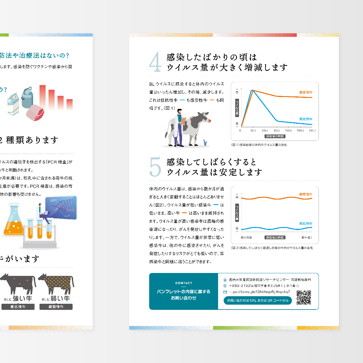 CADIC パンフレットデザイン