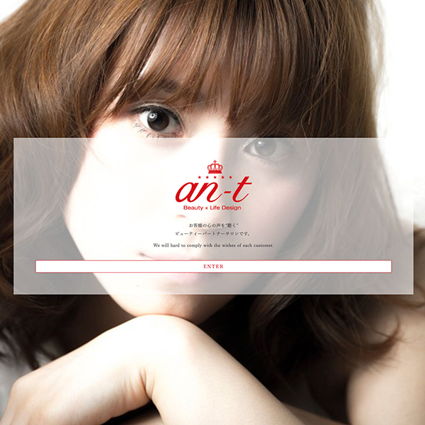 an-t Webサイト
