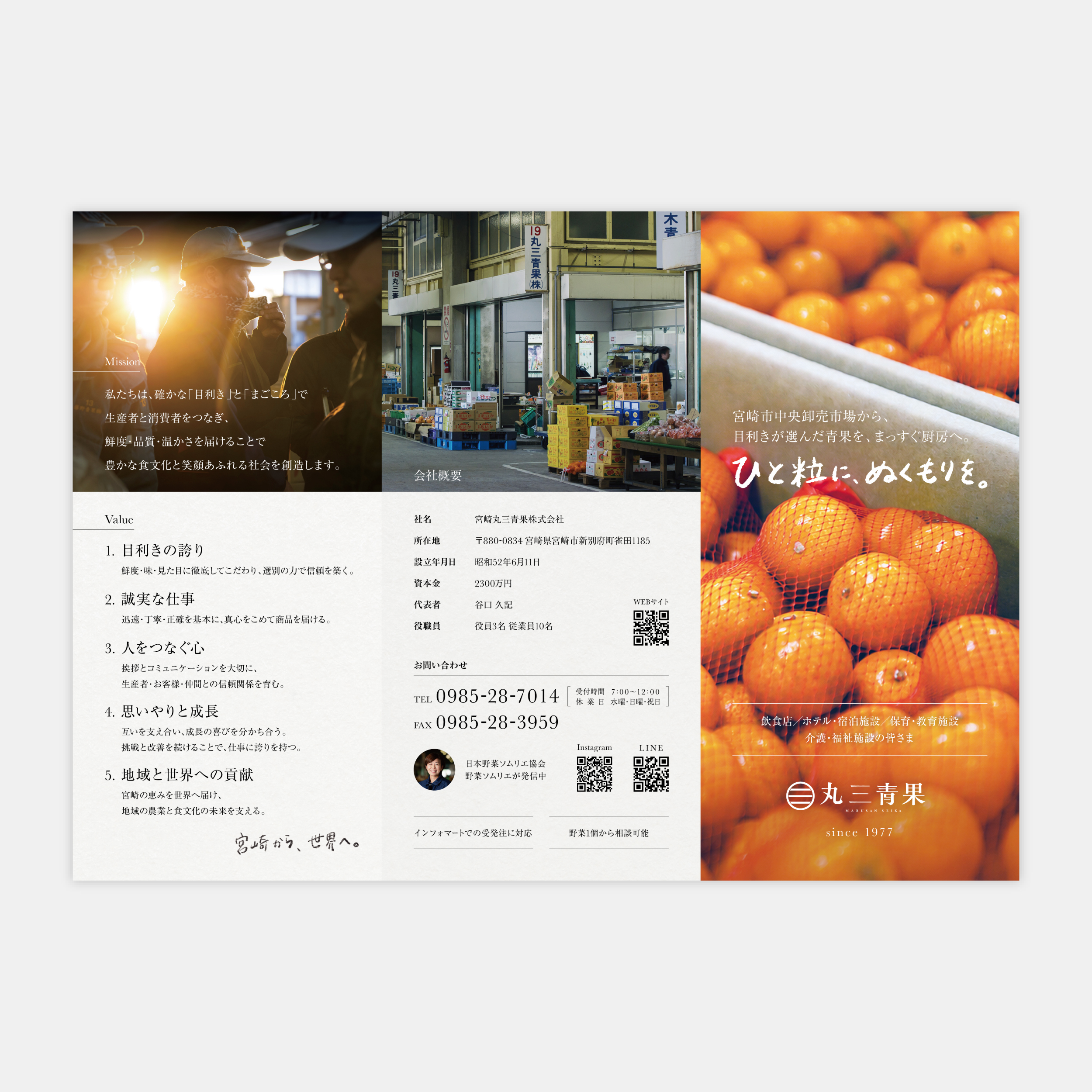 パンフレットデザイン制作 「会社紹介パンフレット」