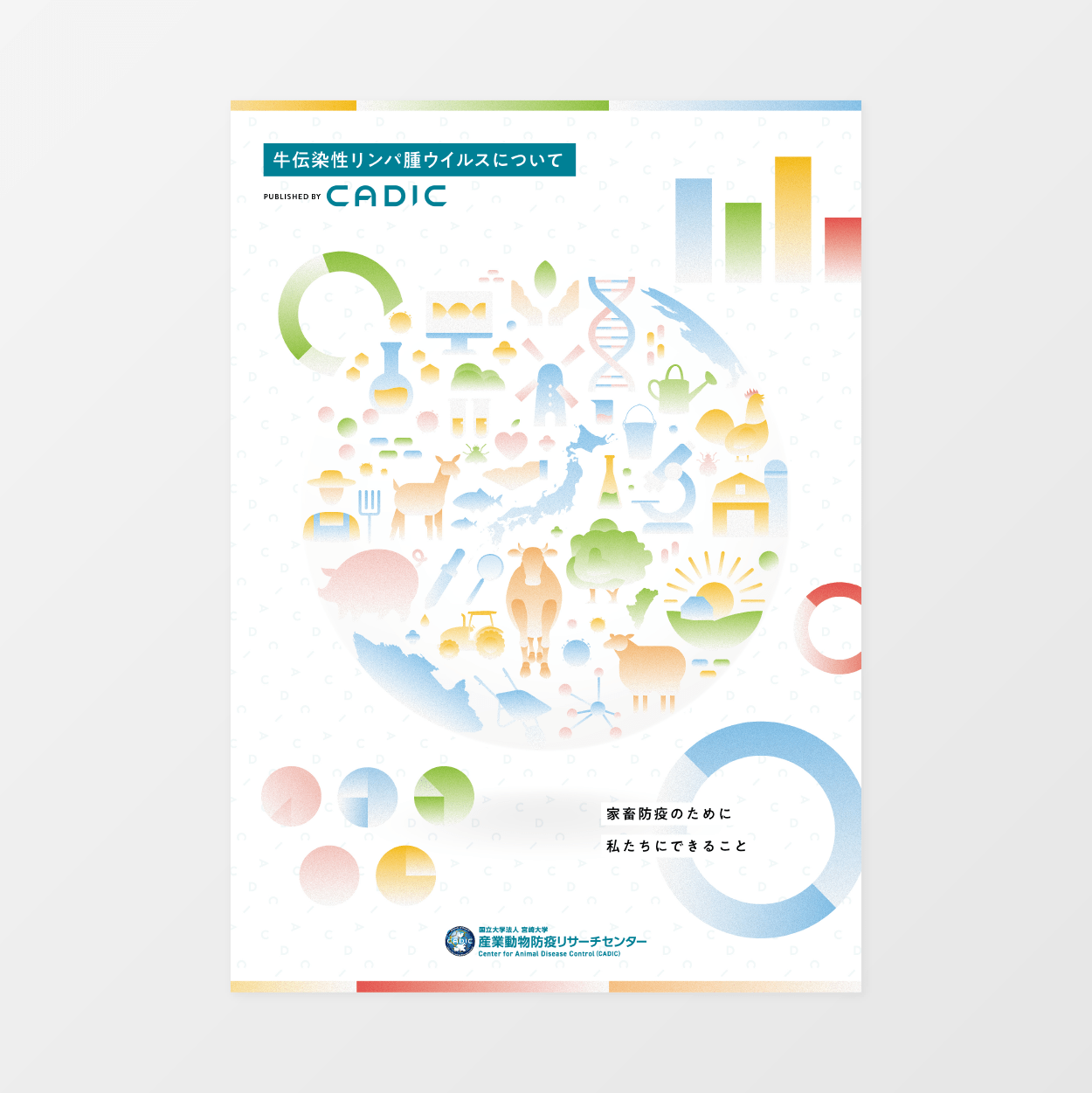 CADIC パンフレットデザイン