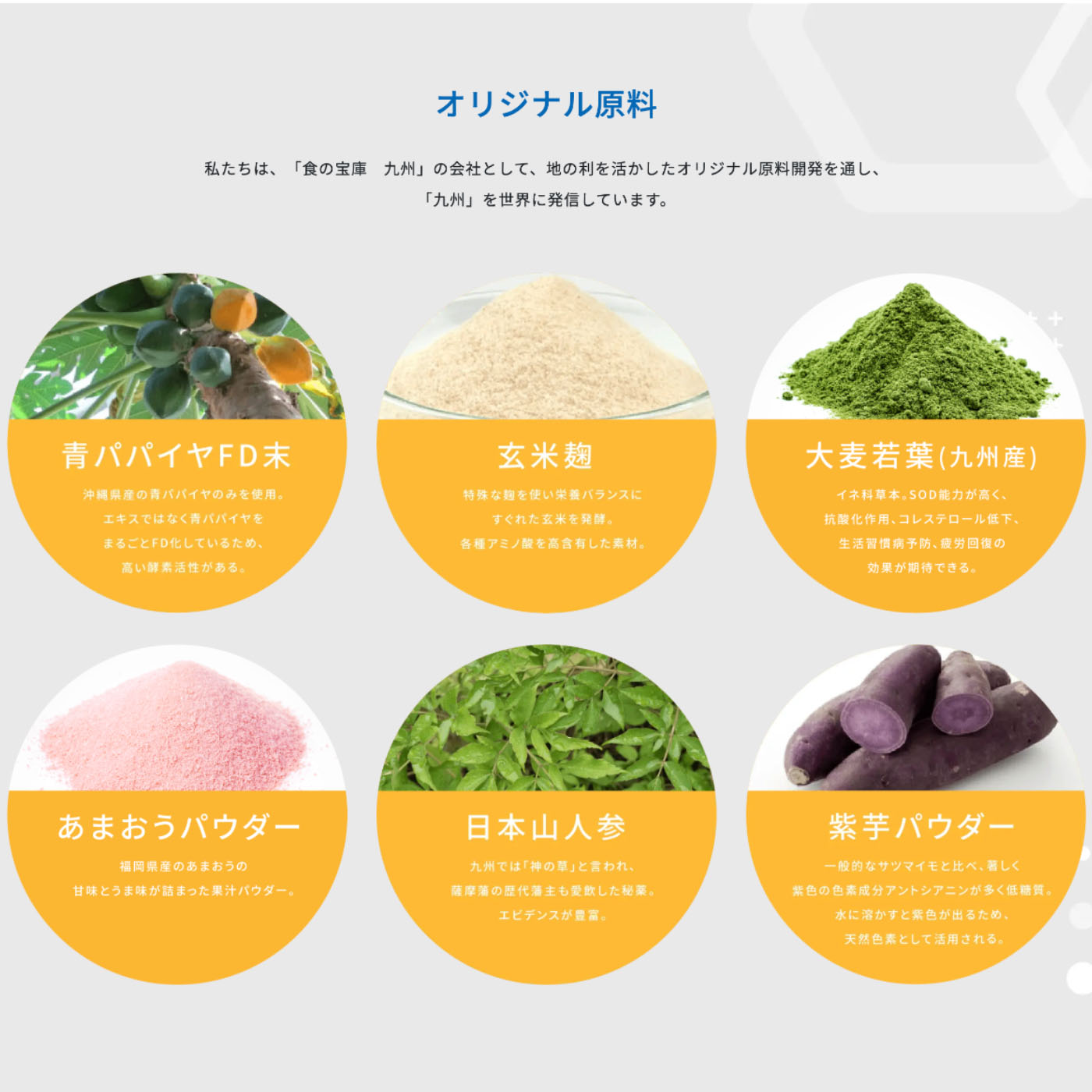 ニホンバイオフーヅ製造 Webサイト