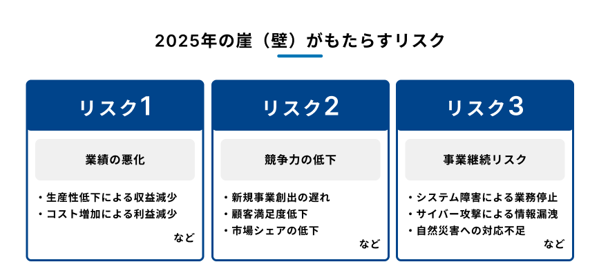 2025年の崖(壁)がもたらす3つのリスクを示す図