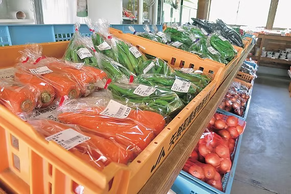 みりょく満点物語 矢祭店 太郎の四季