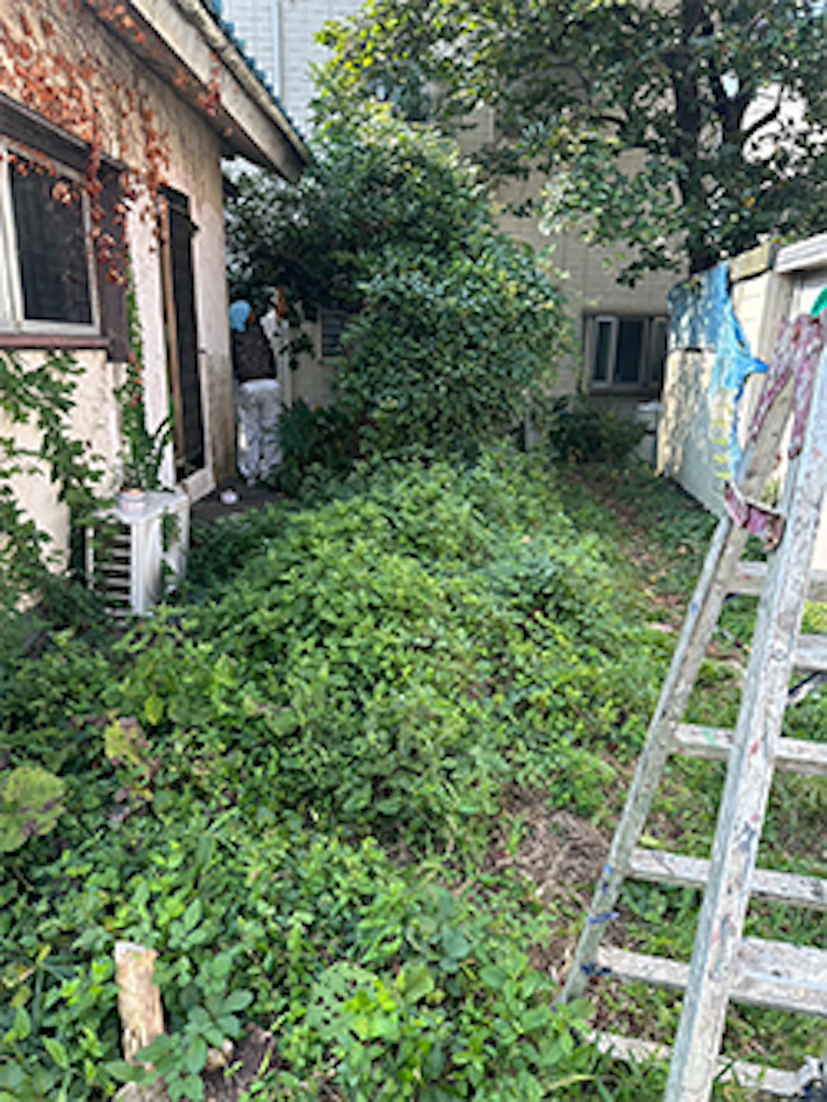 戸建住宅の外壁塗装工事（茅ヶ崎市）の施工前