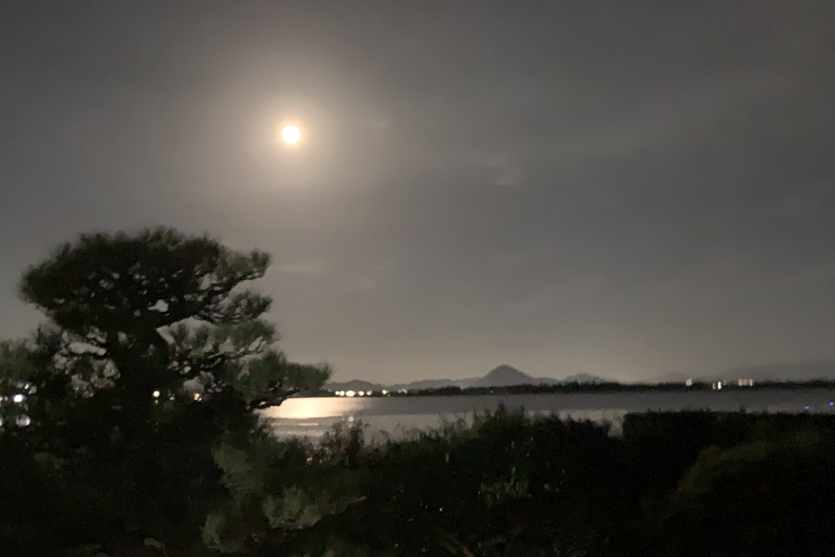 月見の会。月光が湖を照らす 