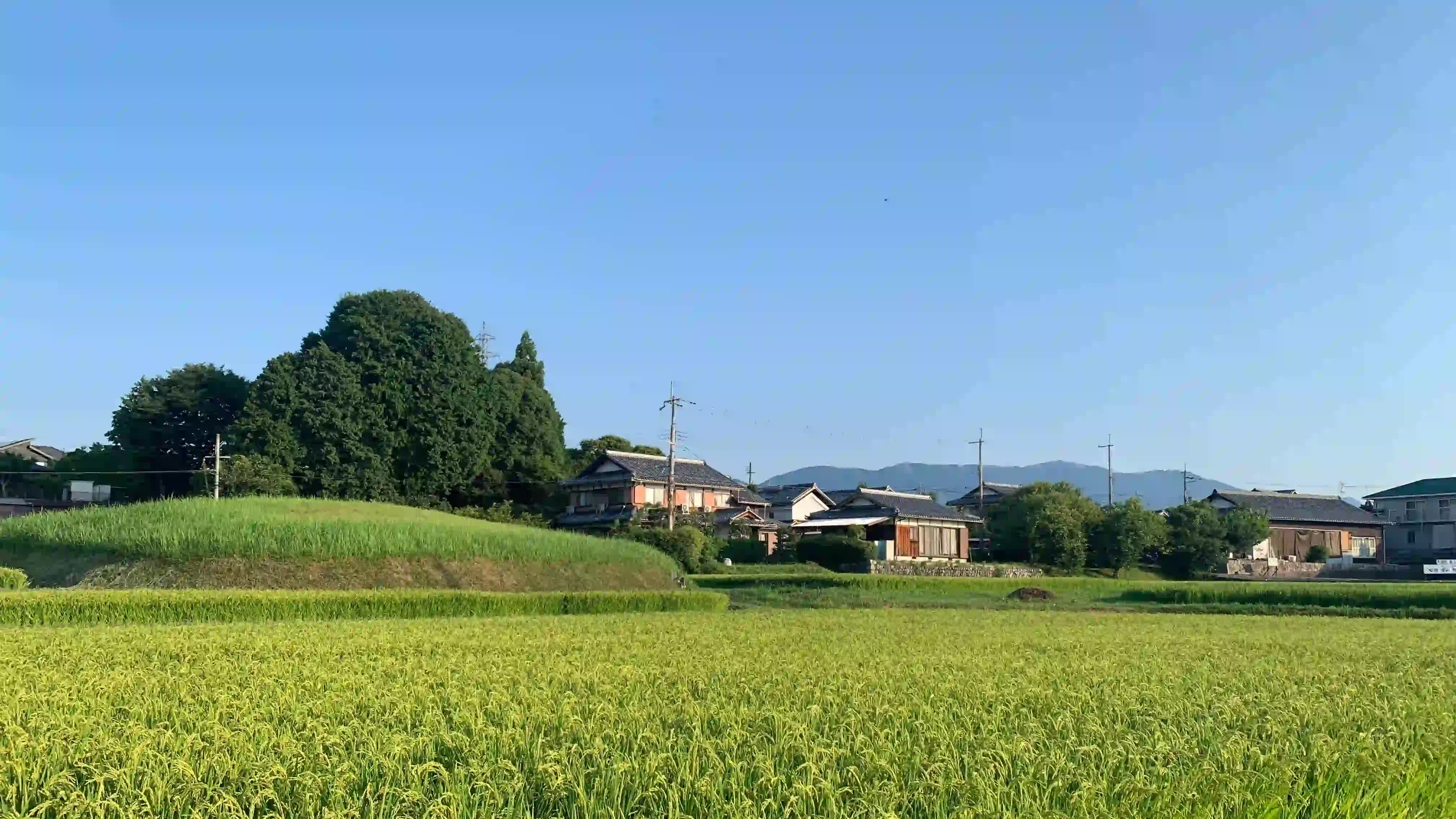 隣郷の真野地区には田園も広がる