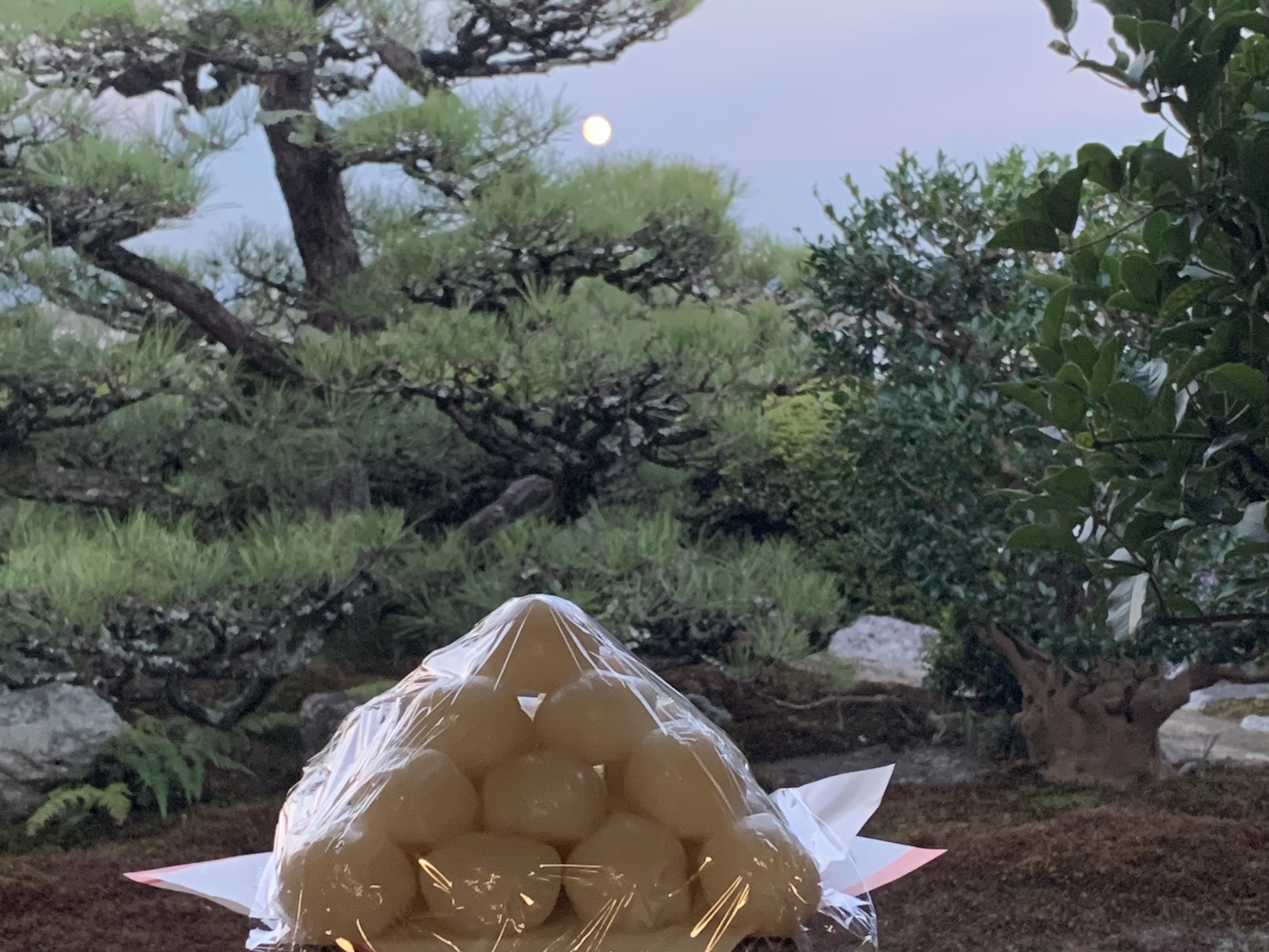 天然図画亭での月見の会。月が上り始める