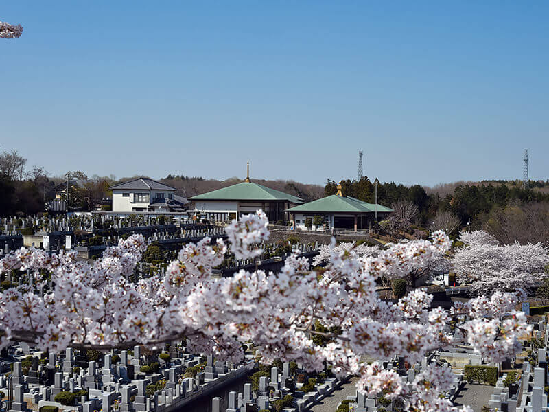 ペット 火葬 安い 東松山