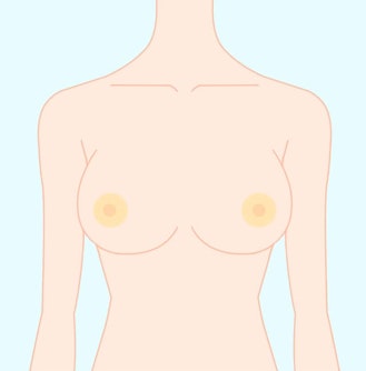 乳首・乳頭のサイズ・色