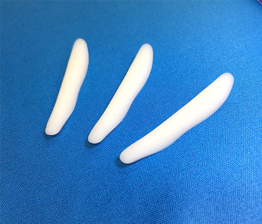 prothesis_photo