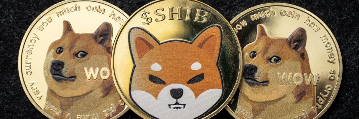 SHIB 3