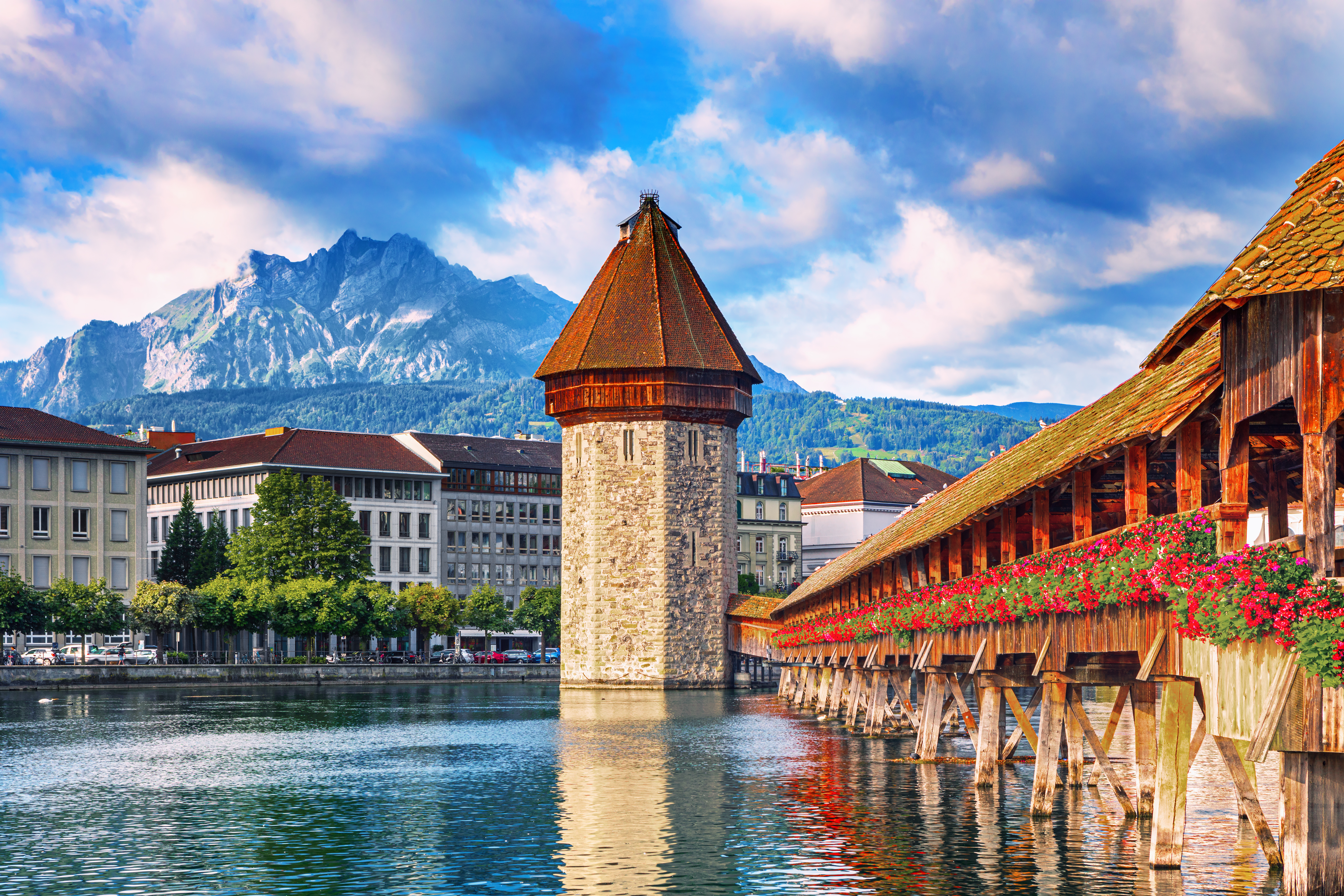 Lucerne image
