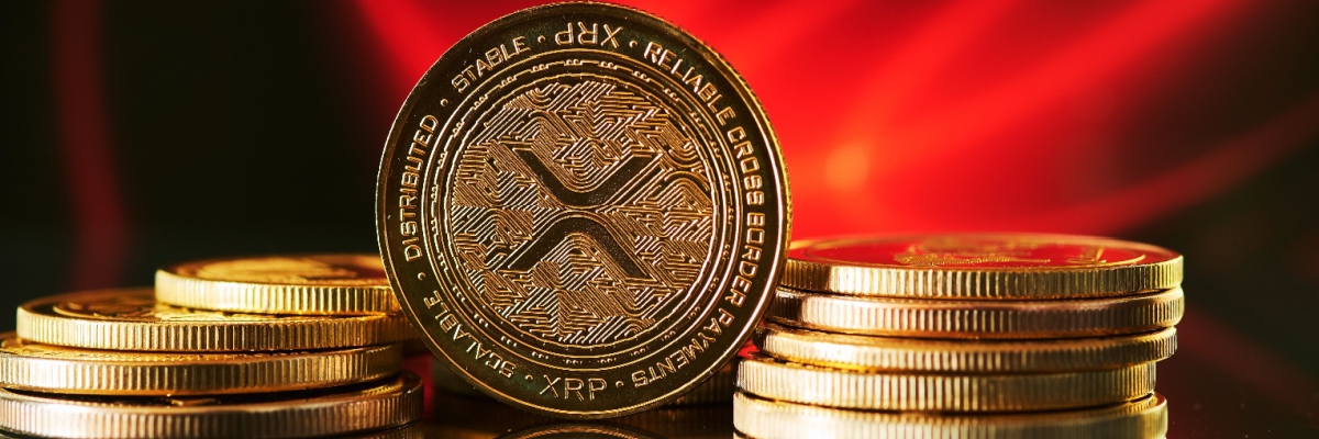 XRP 6