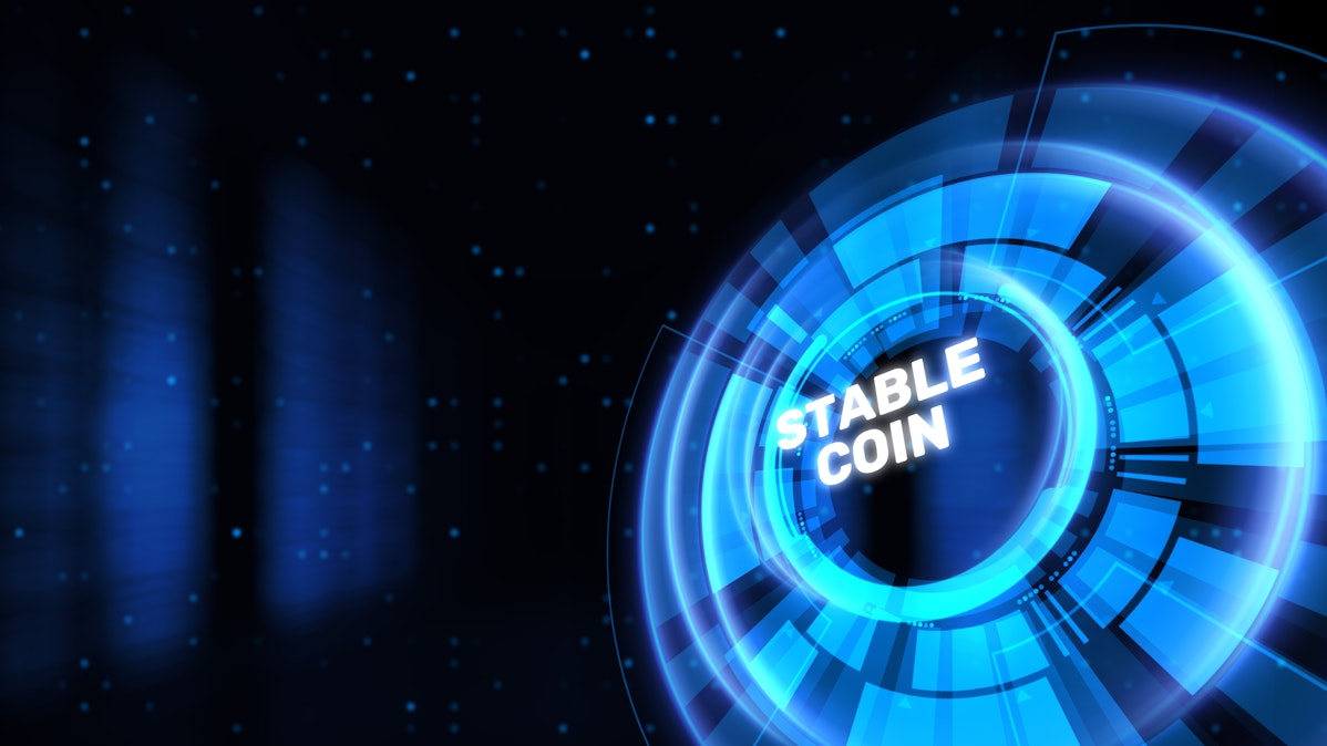 Editor in cheif Picks image 2