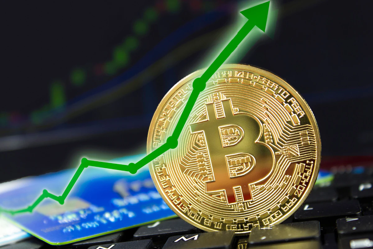 NEWS】ビットワイズ、2024年のビットコイン価格「1,000万円越え」を予測 | Iolite（アイオライト）