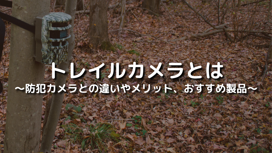 トレイルカメラとは？防犯カメラとの違いやメリット、おすすめ製品を紹介｜IoTBiz｜DXHUB株式会社