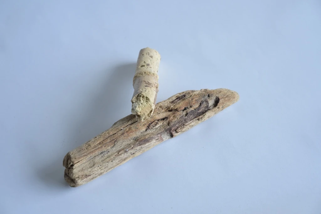 Photograph of two small pieces of battered, light brown driftwood, placed on a Y.