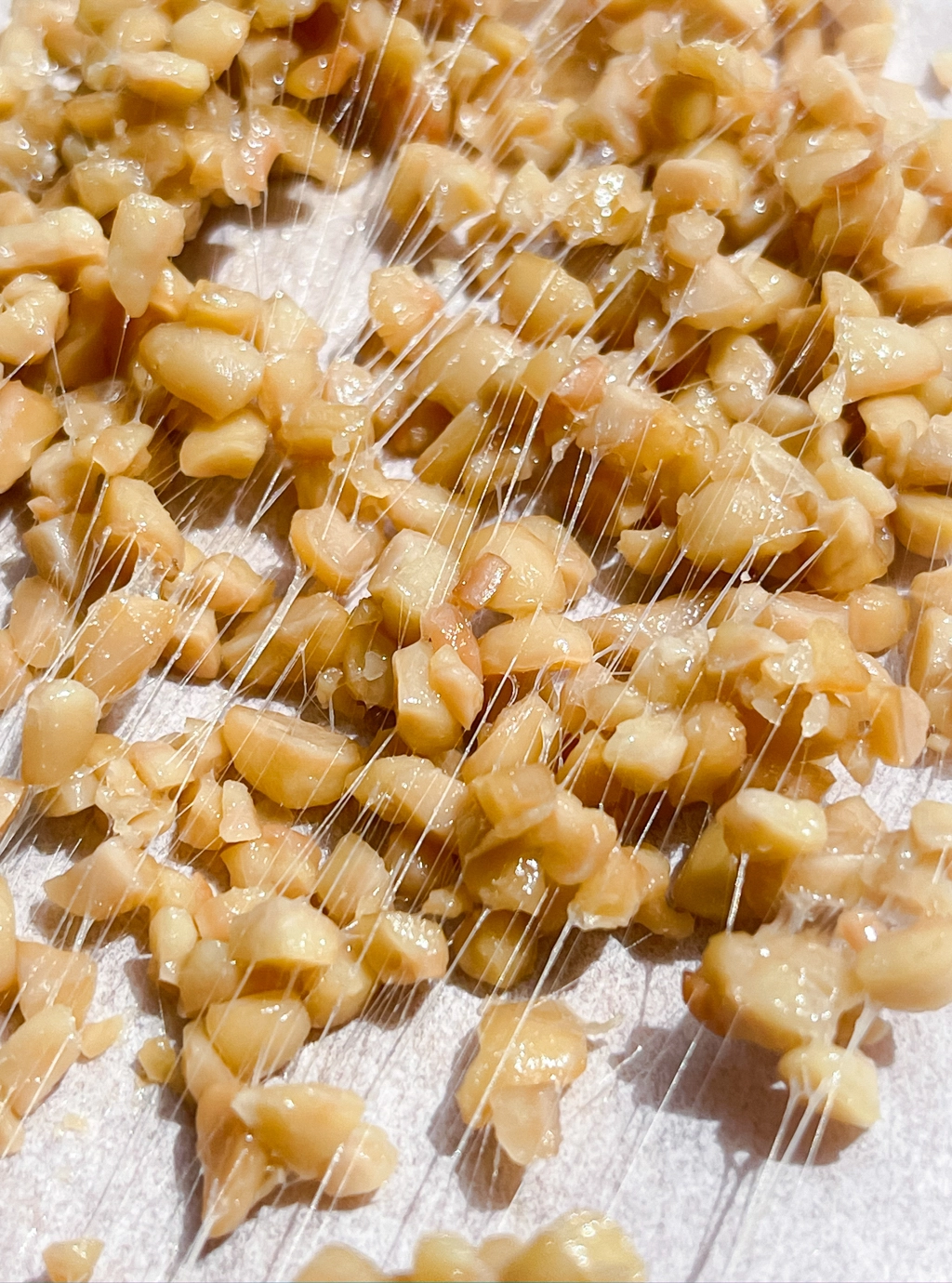 白い背景の上にひきわり納豆を押し伸ばしたような作品。ひきわりなので納豆の粒は細かい。