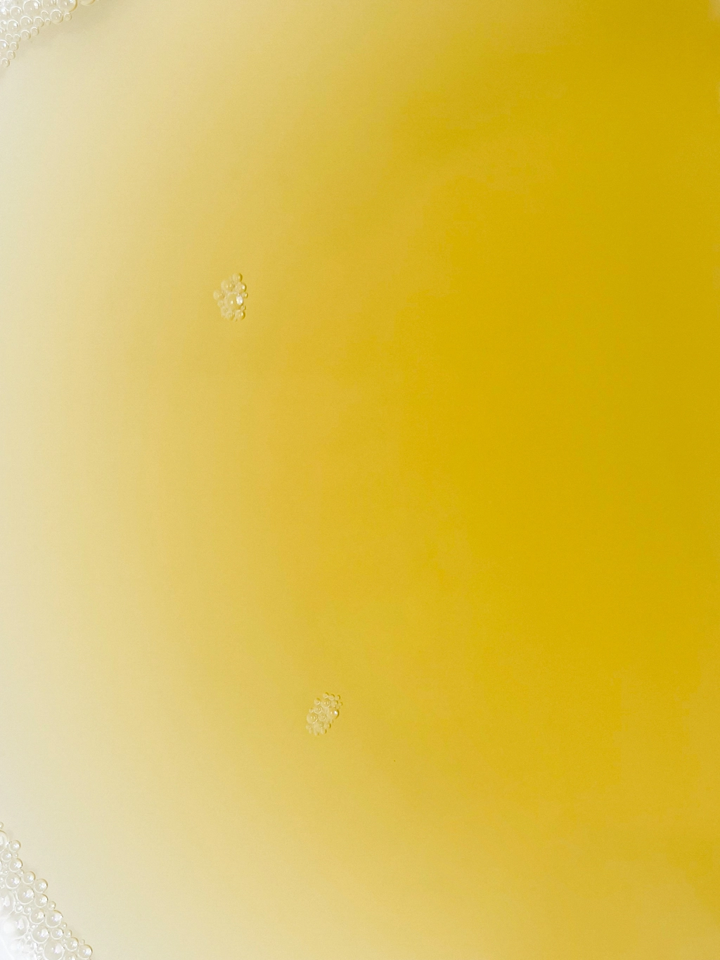 鮪節でとった出汁をクローズアップで捉えた作品。色は濃い黄色と薄い黄色の美しいグラデーションで、ところどころに細かい泡が見える。